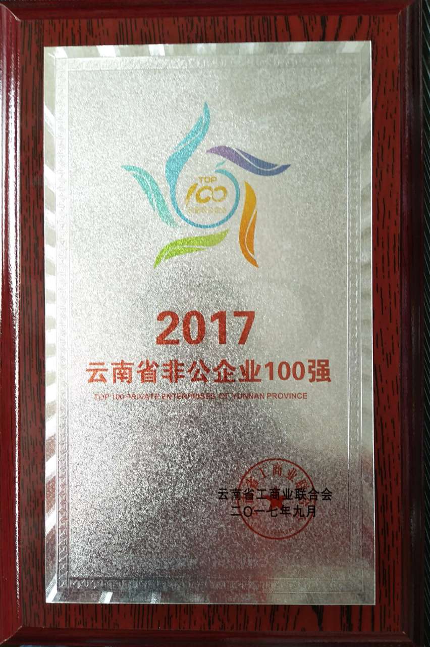 云南省非公企业100强