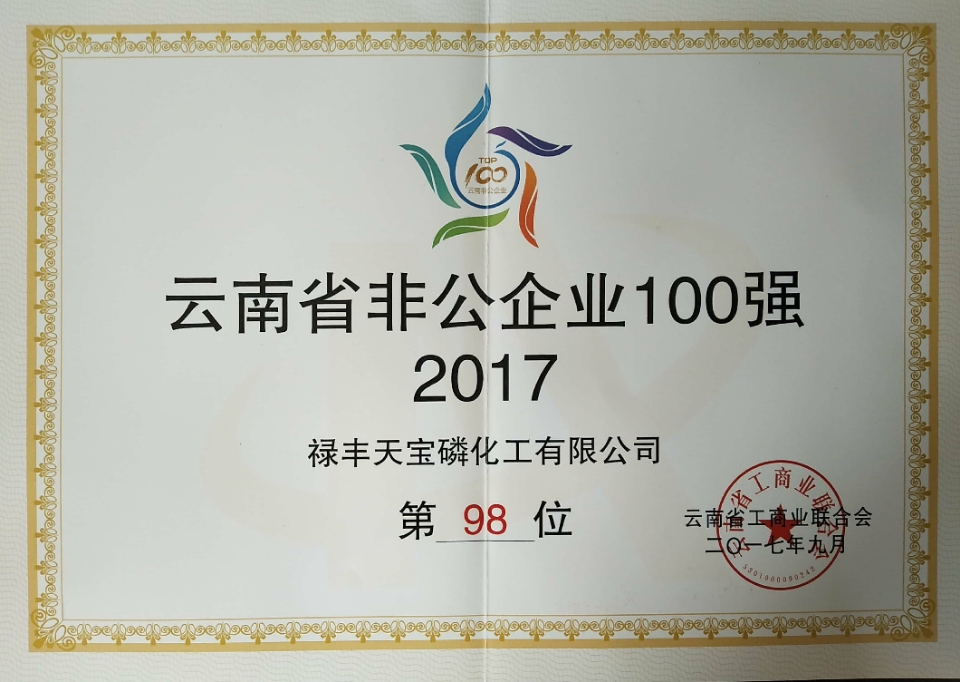 2017云南省非公企业100强