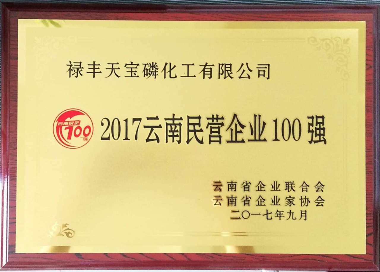 2017云南民营企业100强