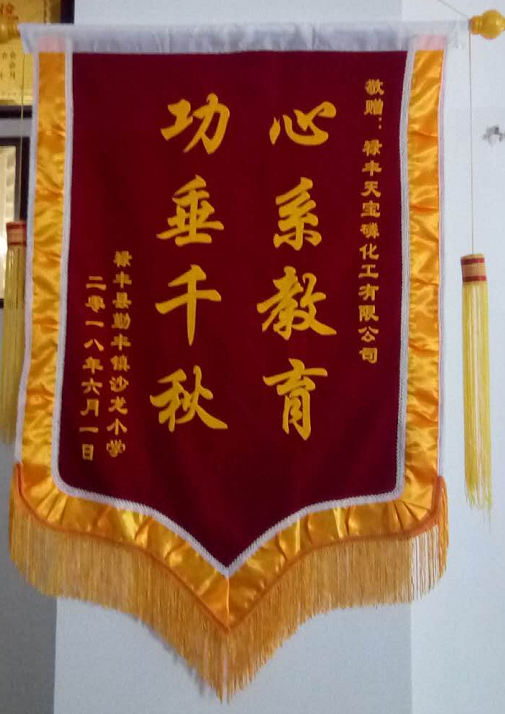沙龙小学锦旗