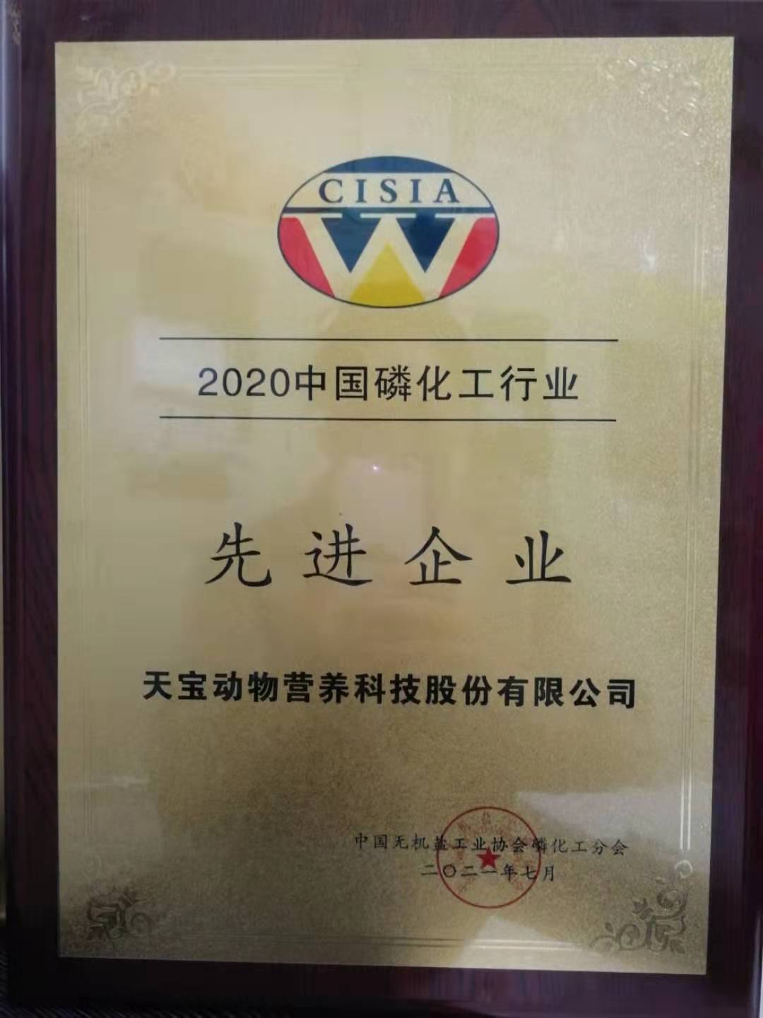 2020中国磷化工行业先进企业