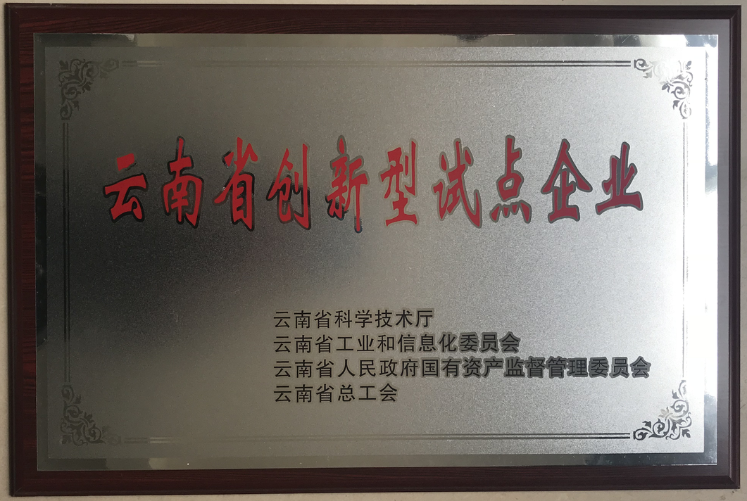 云南省创新型试点企业